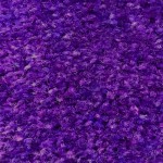 105 Purple