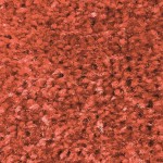 465 Coral